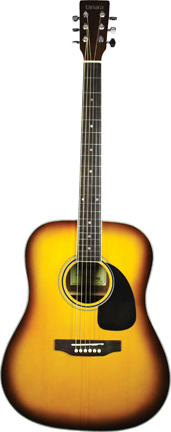 TANARA TANARA FULL SIZE DREADNOUGHT ACOUSTIC GUITAR