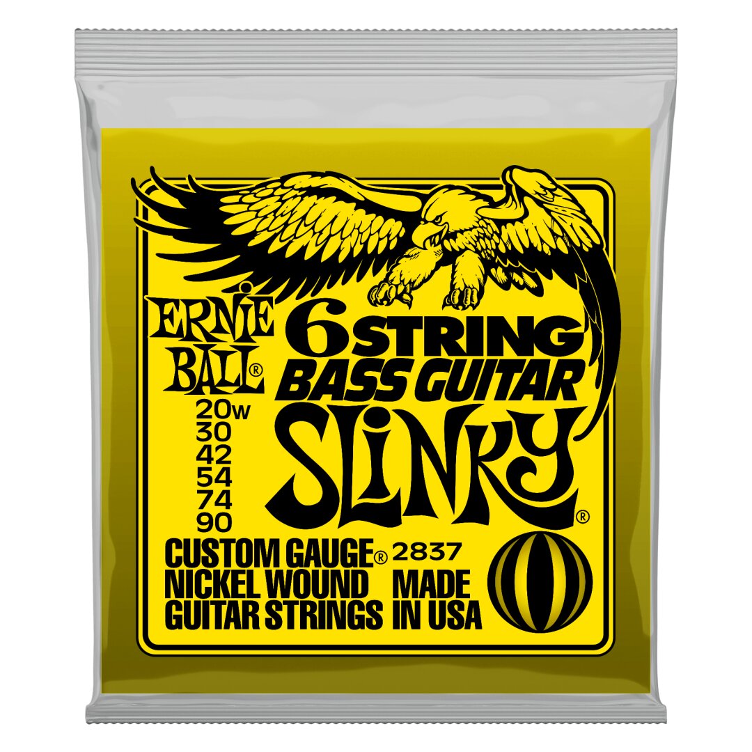 Ernie Ball Slinky 6-String w/ small ball end 29 5/8 scale Bass Guitar Strings - 2