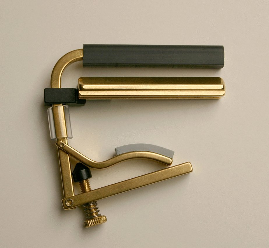 Shubb Shubb C6B Dobro Capo