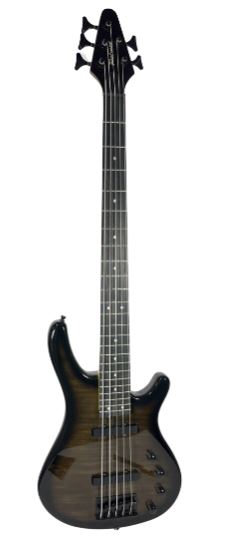 Palmer Palmer Eclipse 5 String Bass - Flame Black