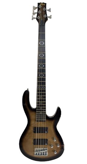 Palmer Palmer Magnum 5 String Bass - Quilted Black w/ Bag