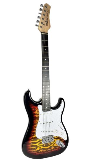 Palmer Palmer PE-CoreXL Electric Guitar l Standard Series - Flame Amberburst