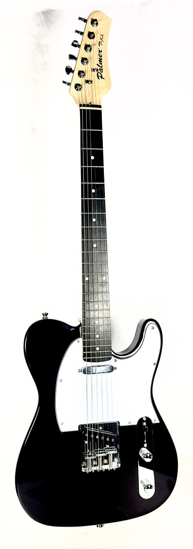 Palmer Palmer T-Style Electric Guitar - Black With Gig Bag