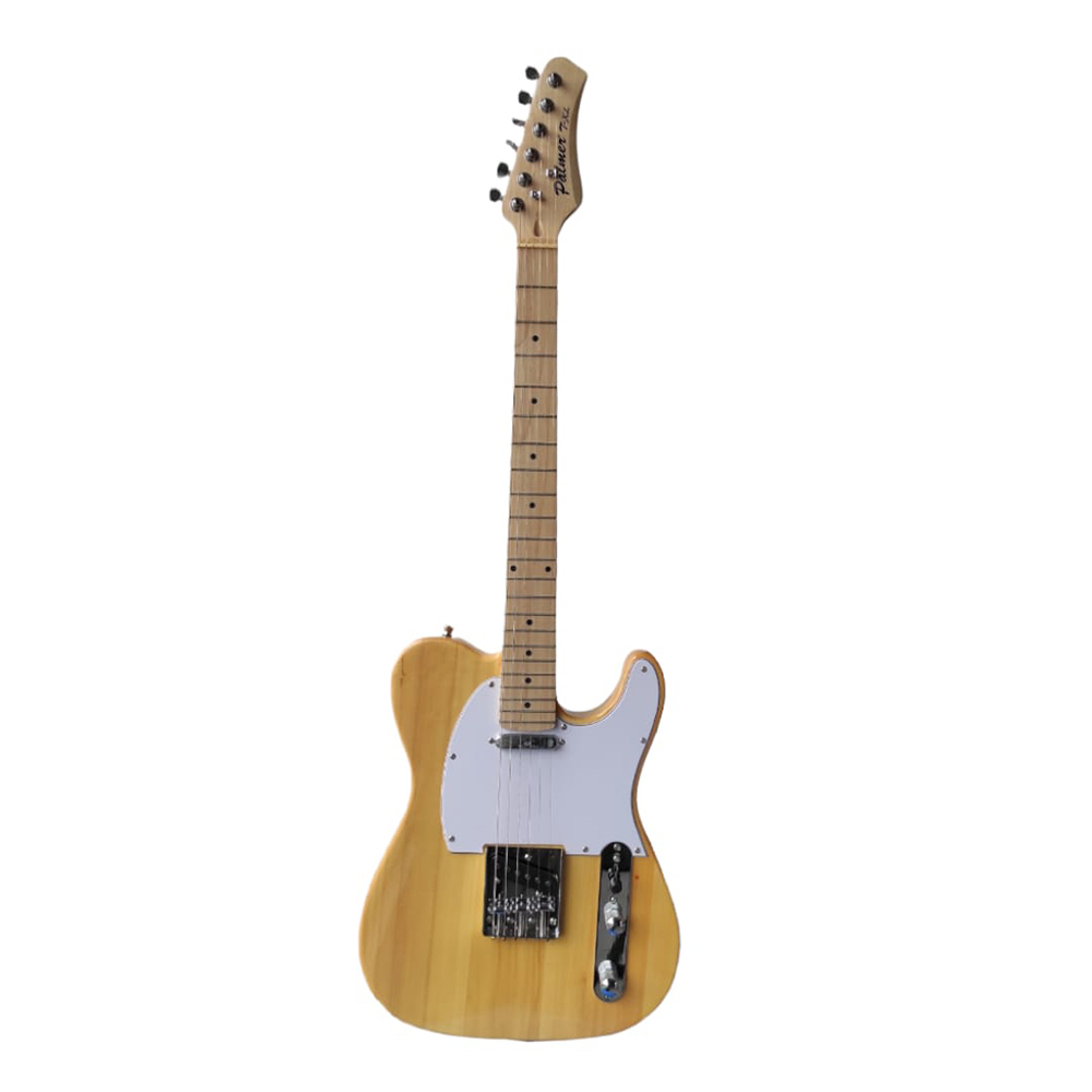 Palmer Palmer T-Style Electric Guitar - Natural
