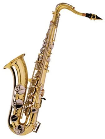 Alto Alto Sax Student Sax Comes with Hard Case