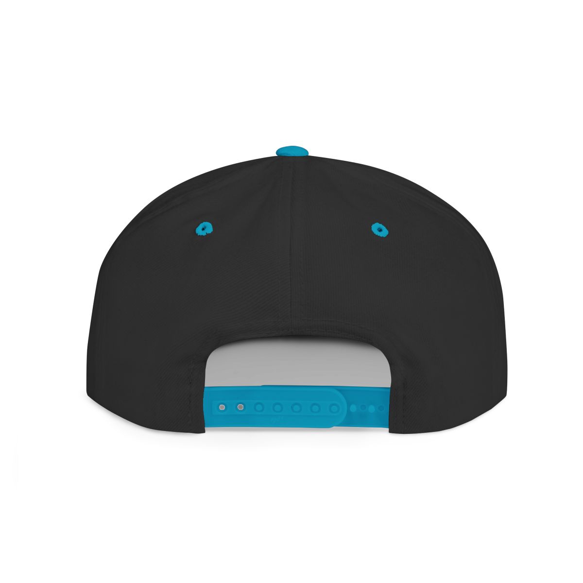 OrderMusicGear Retro Husky Logo Flat Bill Snapback | 80s Vaporwave Dog Cap - Black/Teal / One size