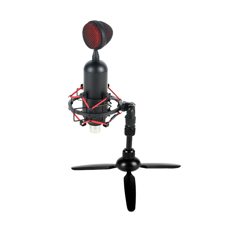 ROQ Audio M10USE - USB Condenser Microphone