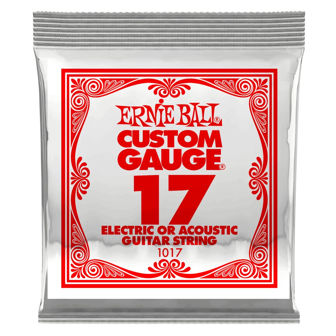 Ernie Ball .017 Plain Steel Electric or Acoustic Guitar Strings 6 Pack