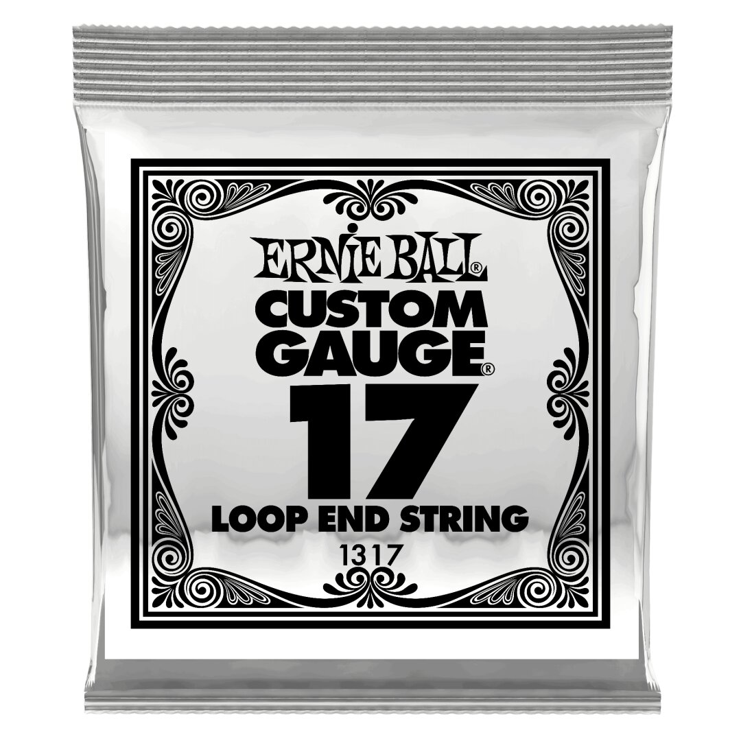Ernie Ball .017 Loop End Stainless Steel Plain Banjo or Mandolin Guitar Strings 6