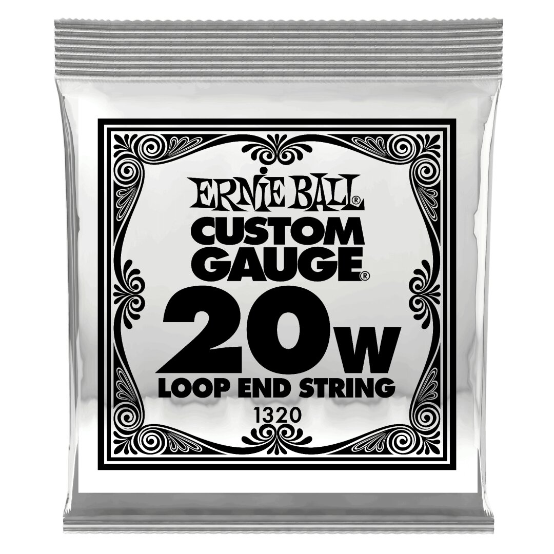 Ernie Ball .020 Loop End Stainless Steel Wound Banjo or Mandolin Guitar Strings 6