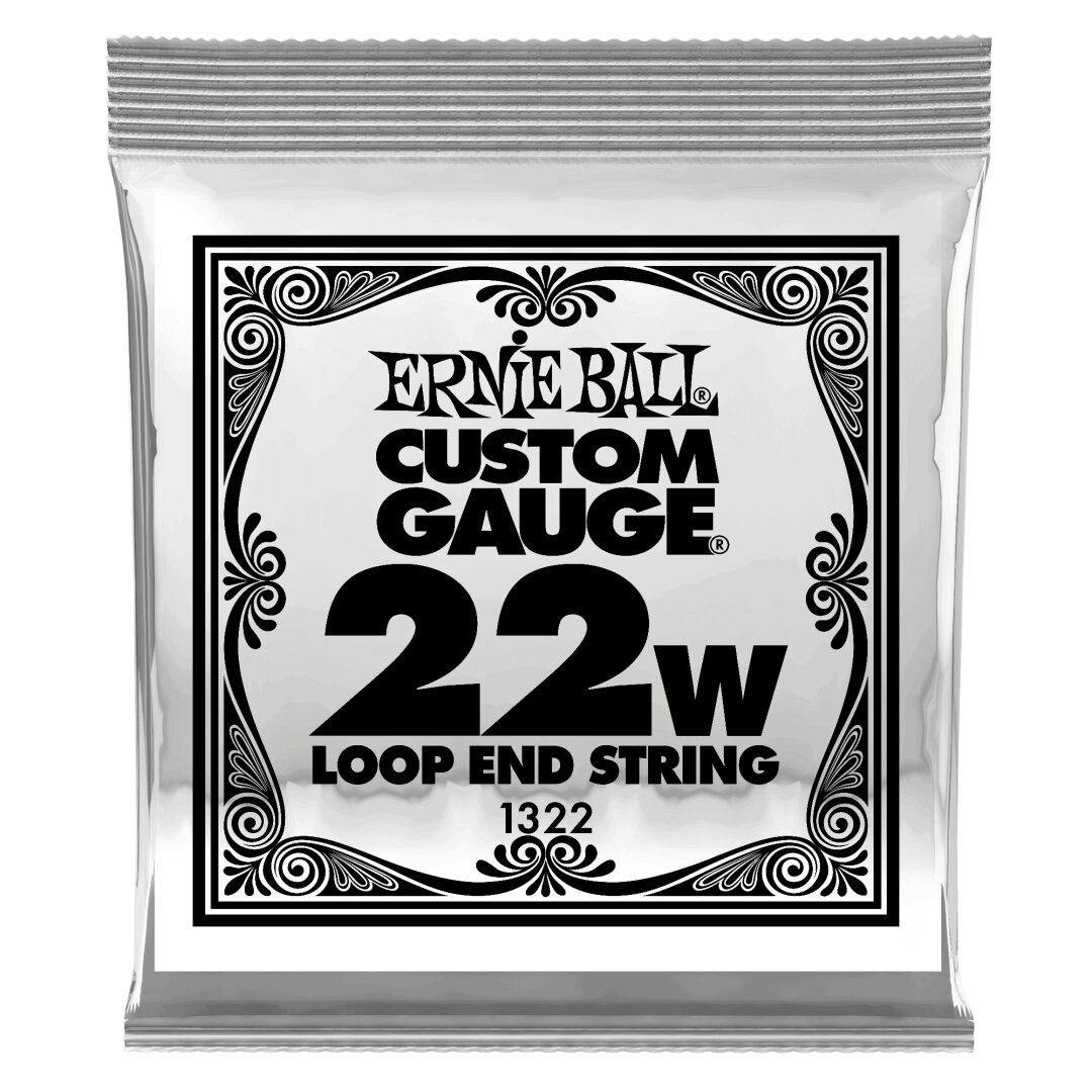 Ernie Ball .022 Loop End Stainless Steel Wound Banjo or Mandolin Guitar Strings 6