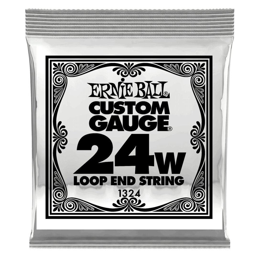Ernie Ball .024 Loop End Stainless Steel Wound Banjo or Mandolin Guitar Strings 6