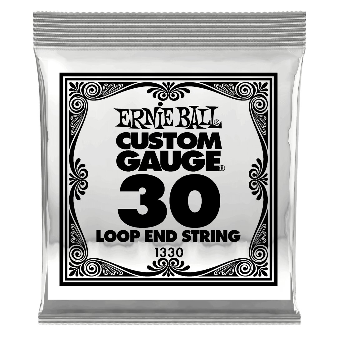 Ernie Ball .030 Loop End Stainless Steel Wound Banjo or Mandolin Guitar Strings 6