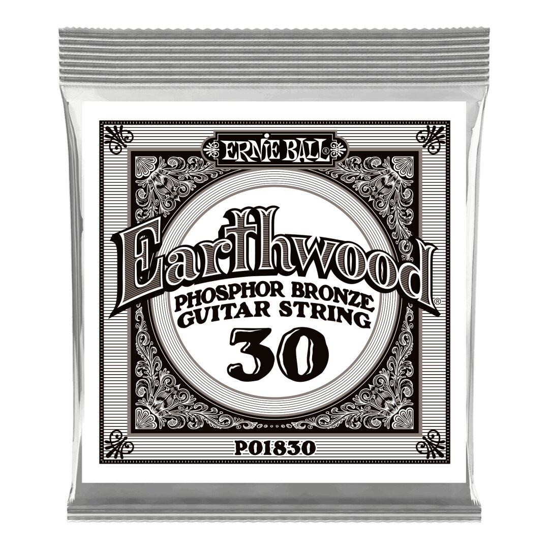 Ernie Ball .030 Earthwood Phosphor Bronze Acoustic Guitar Strings 6 Pack