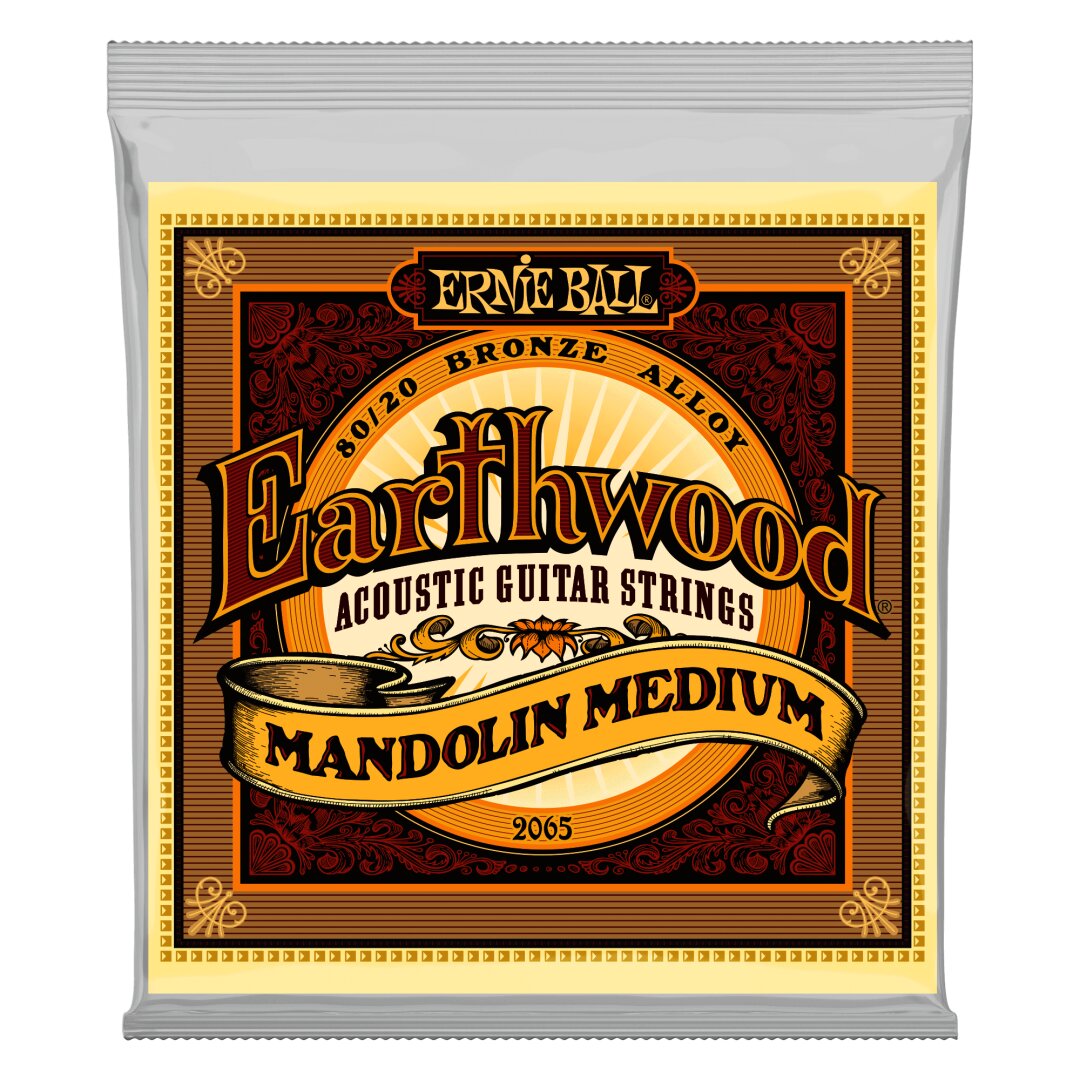 Ernie Ball Earthwood Mandolin Medium Loop End 80/20 Bronze Acoustic Guitar String