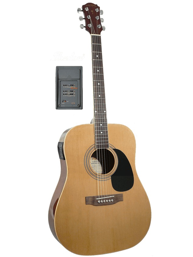 Palmer Palmer Dreadnought Cutaway Acoustic-Electric, Spruce Top Cherry