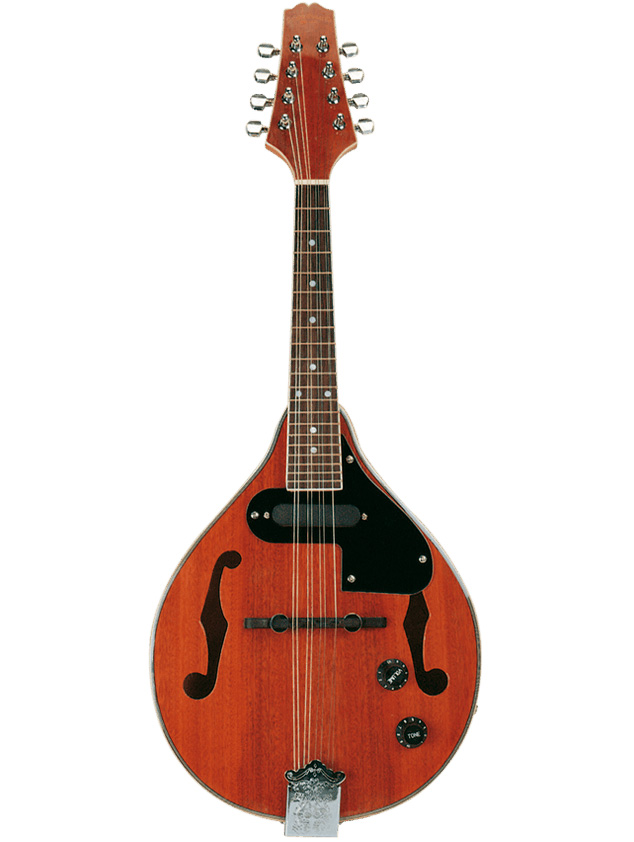 Palmer Palmer Acoustic Electric Mandolin - Natural