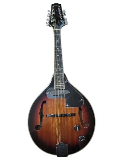 Palmer Palmer Acoustic Electric Mandolin - Vintage Sunburst