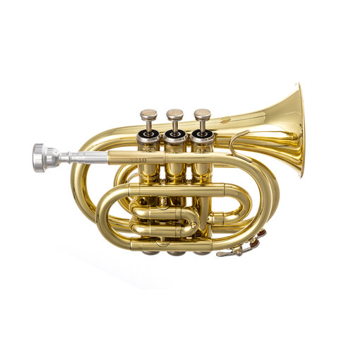 RS Berkeley PT624 POCKET TRUMPET