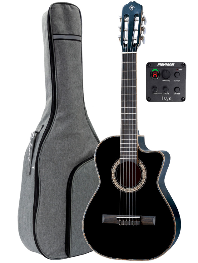 Palmer Palmer Requinto AE, Featuring the Fishman Isys 301+ Preamp and Gig Bag