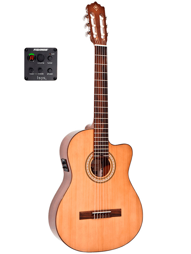 Palmer Palmer TANIS CE Classical Guitar, Featuring the Fishman Isys 301+ Prea