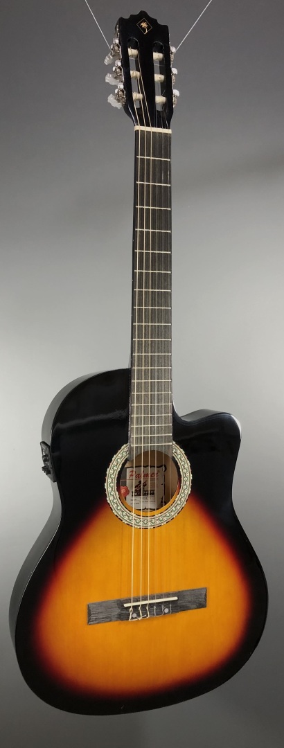 Palmer Palmer Teresa Nylon Strings Standard Classic Acoustic/Electric Guitar