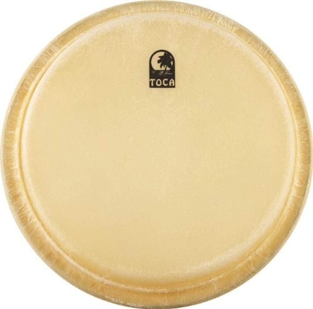 Toca Percussion Toca TP-20111 11" Conga Head