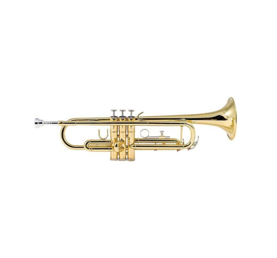 RS Berkeley TP6538 Bb TRUMPET